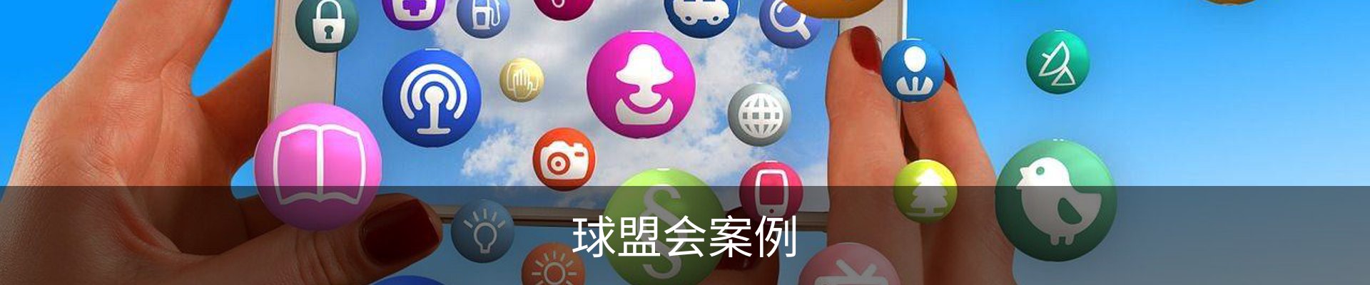 球盟会案例